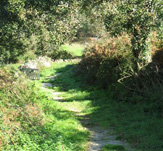 ampliar  + Senderismo y Camino de Santiago