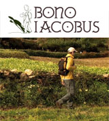 Bono Iacobus