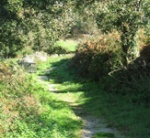 Hiking route Hiking route